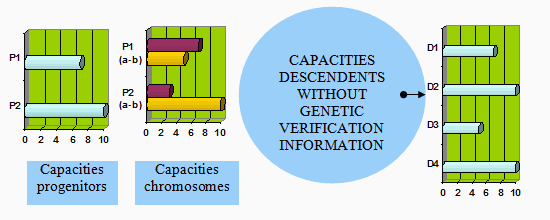 Evolution diagram with sexual differentiation, Mendelian combination and no application of the LoVeInf method.