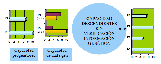 Esquema de la evolución con diferenciación sexual, combinación Mendeliana y no aplicación del método LoVeInf.