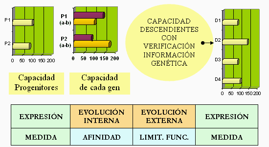 Esquema complejo del método LoVeInf después de incluir las posibles deviaciones aleatorias de los valores observados.