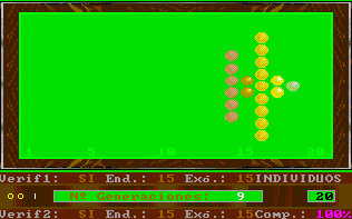 Fractals in the option of the simulation of the evolution.