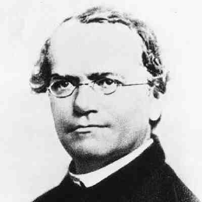 Gregor Mendel (Dominio pubblico)