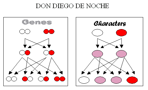 Scheme of the Law of Excision of Mendel's Theory.