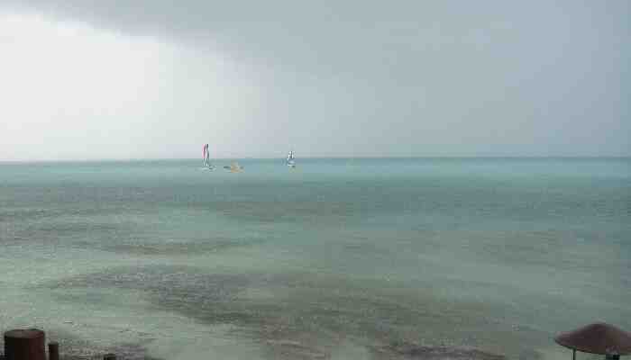 Pequeños veleros de colores cerca de la costa en día oscuro.